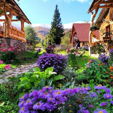 Guest house під горбком