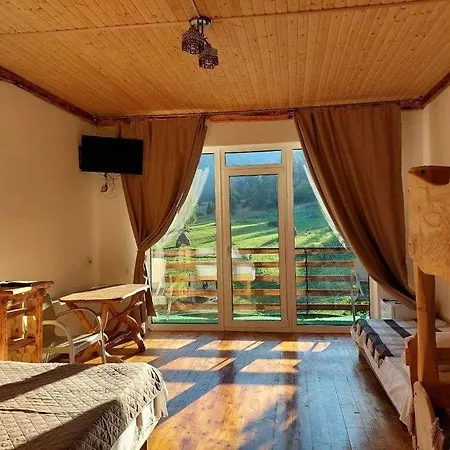 Guest house під горбком Bukovets