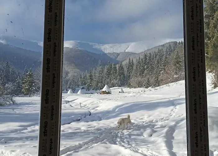 під горбком بيت ضيافة