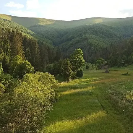 Pensión під горбком Bukovets