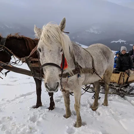 під горбком Gæstehus